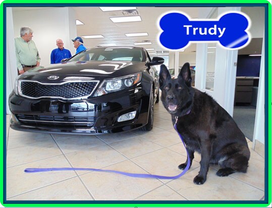 Dog Of Day Trudy