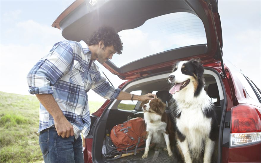 Subaru of America Dog Tested