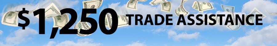 Trade-Assist-900x150.jpg