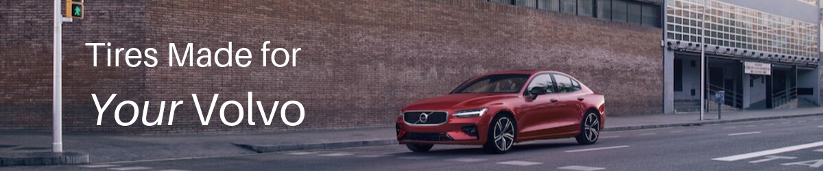 Extra Long Banner.png