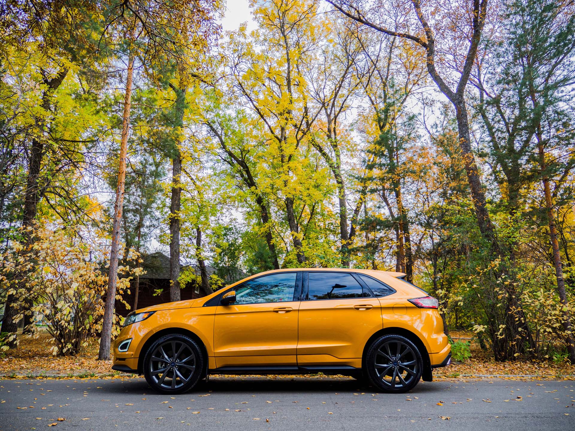 how-to-choose-the-right-tires-for-your-ford.jpg