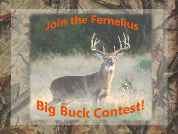 big buck.jpg