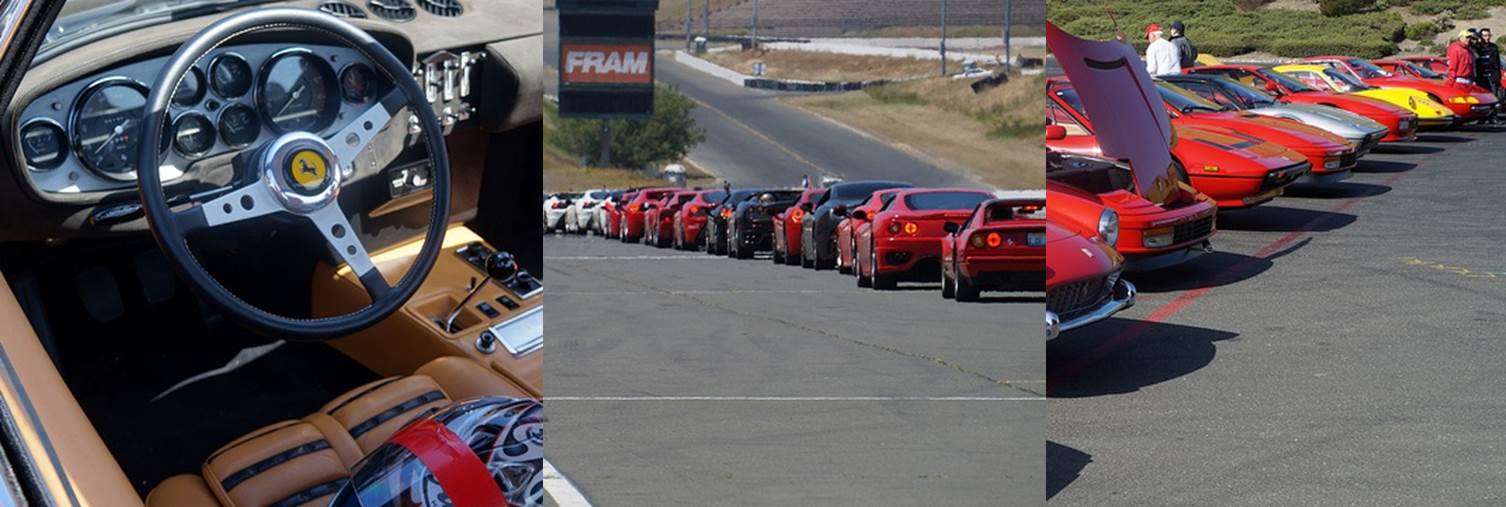 Sonoma 2013.jpg