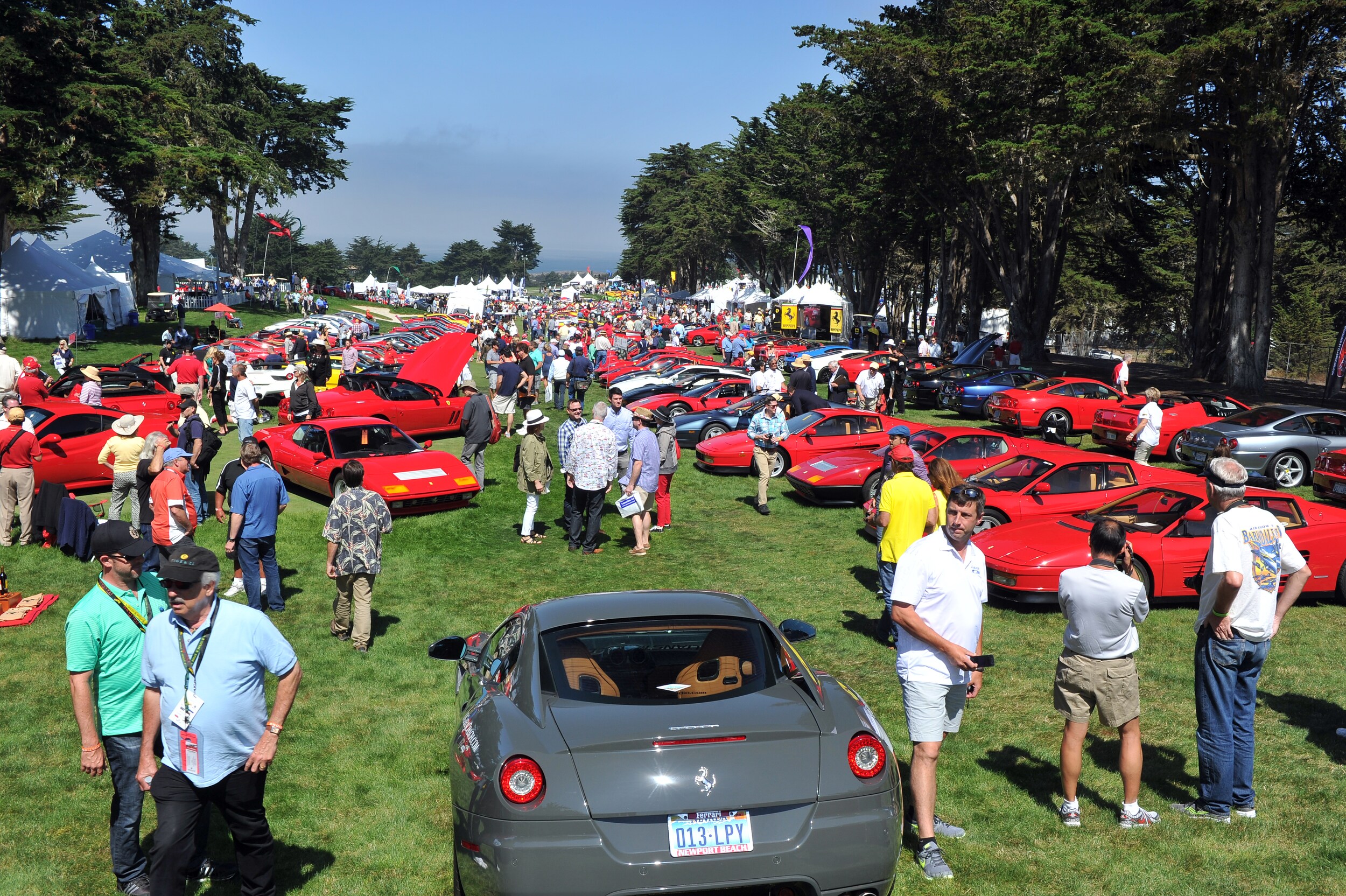 Concorso Field.jpg