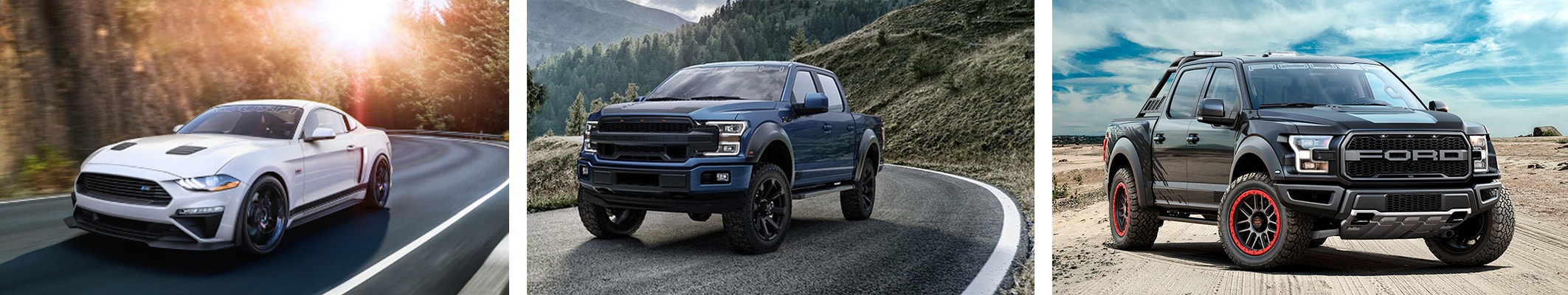 Ford Performance and Off-Road Vehicles for Sale in Williamston