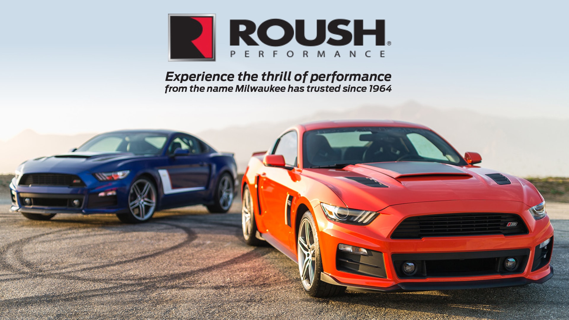 Roush Performance Cars and Trucks For Sale at Feyer Ford