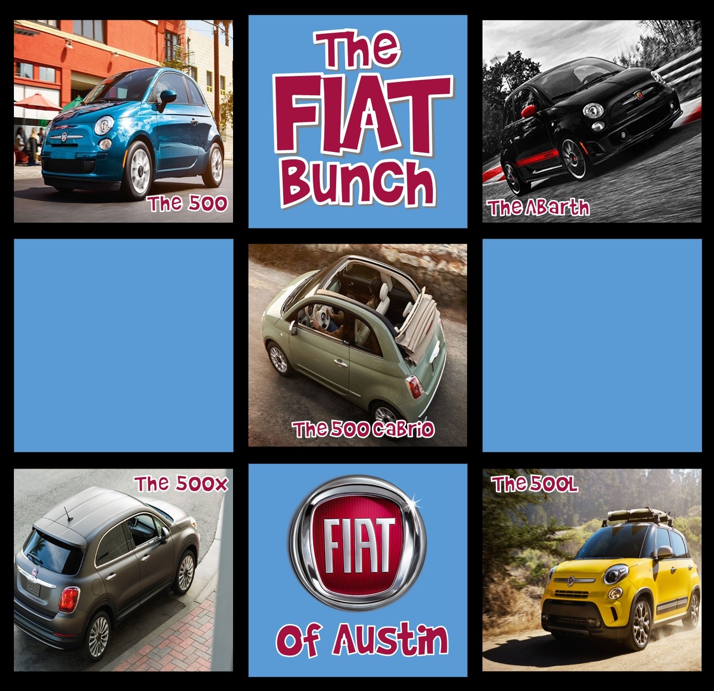 The FIAT Bunch: A Whole Family of FIAT Models To Choose From Meet The FIAT Bunch