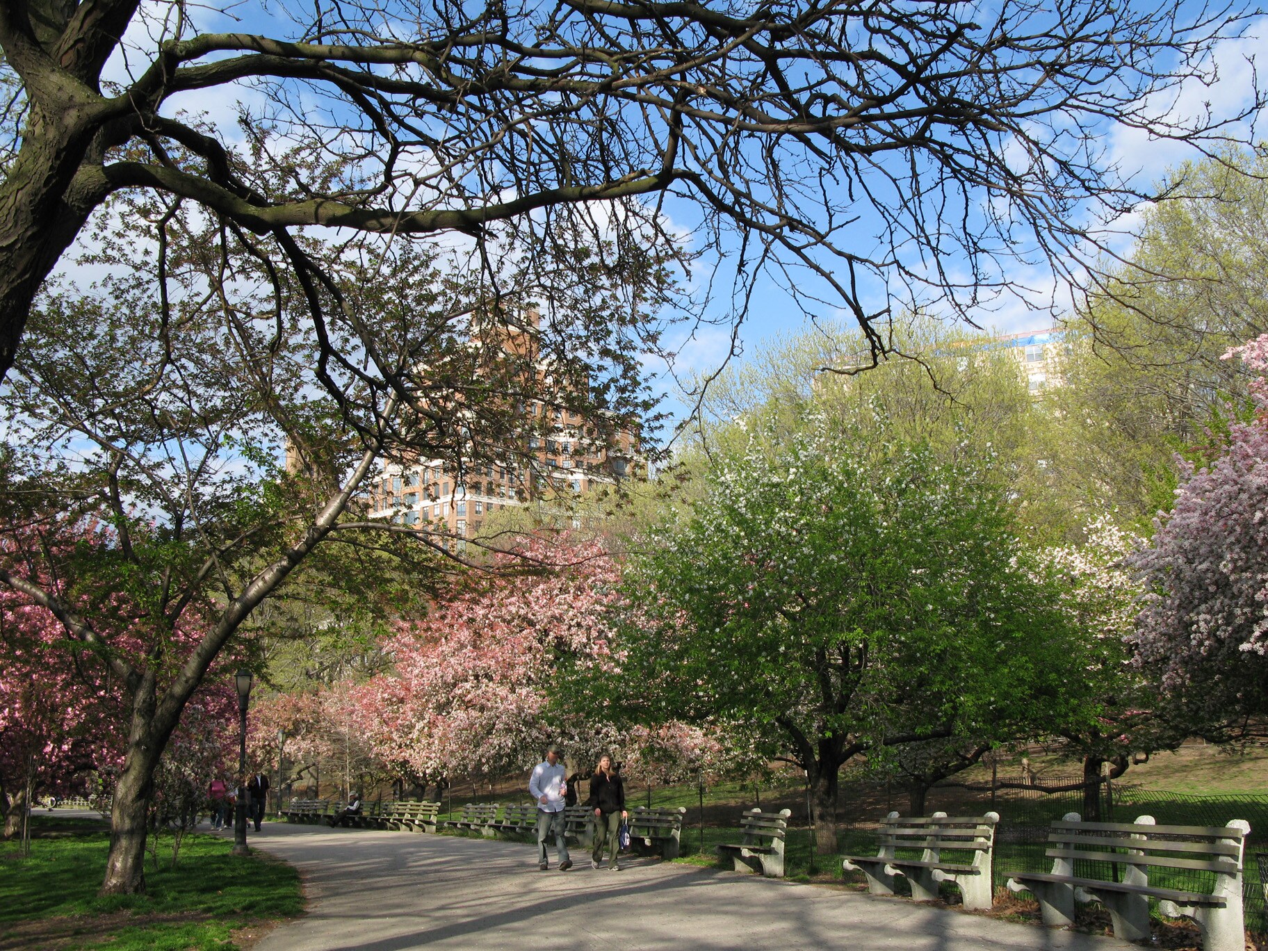 Manhattan Community