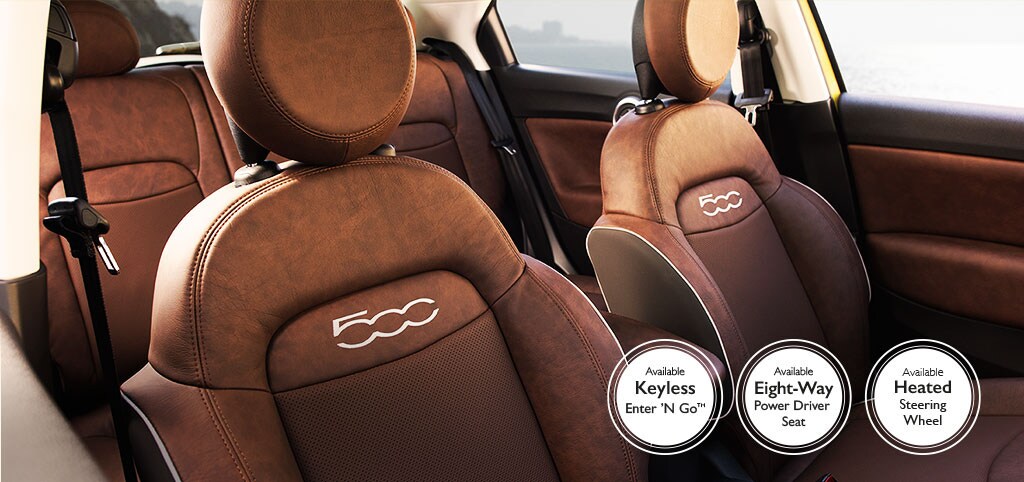 500x Interior Options.jpg