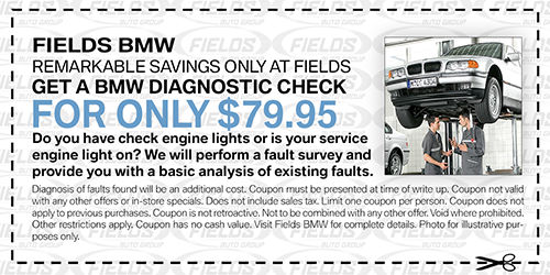 BMW_Diagnostic.png