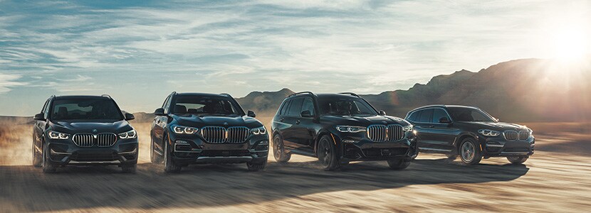 BMWs-Driving.jpg