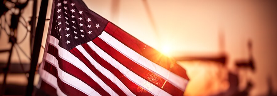 flag-of-united-states-of-america-P59VYNQ.jpg