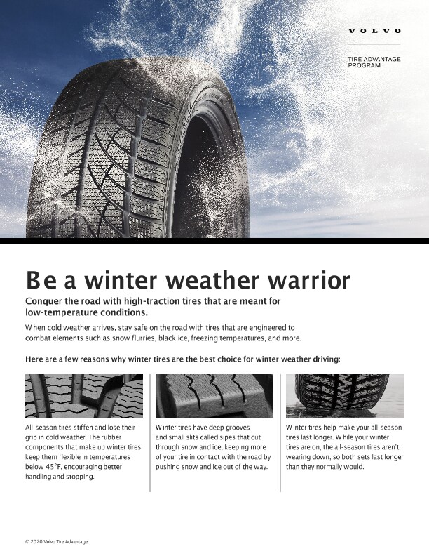 VOL_WinterMarketing2020_Flyer_8-5x11_VAR1.pdf