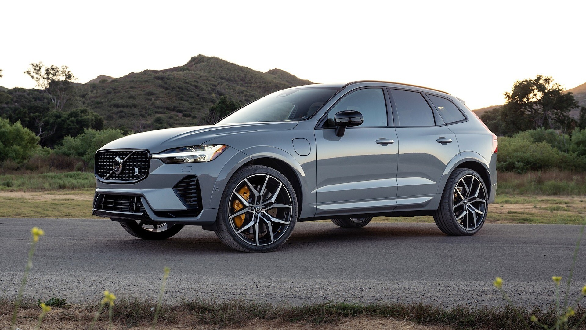 1-2025-volvo-xc60-t8-front-view.jpg 2025 Volvo XC90 Gray Parked Field