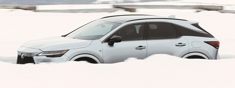 2026 Lexus RX Spokane WA