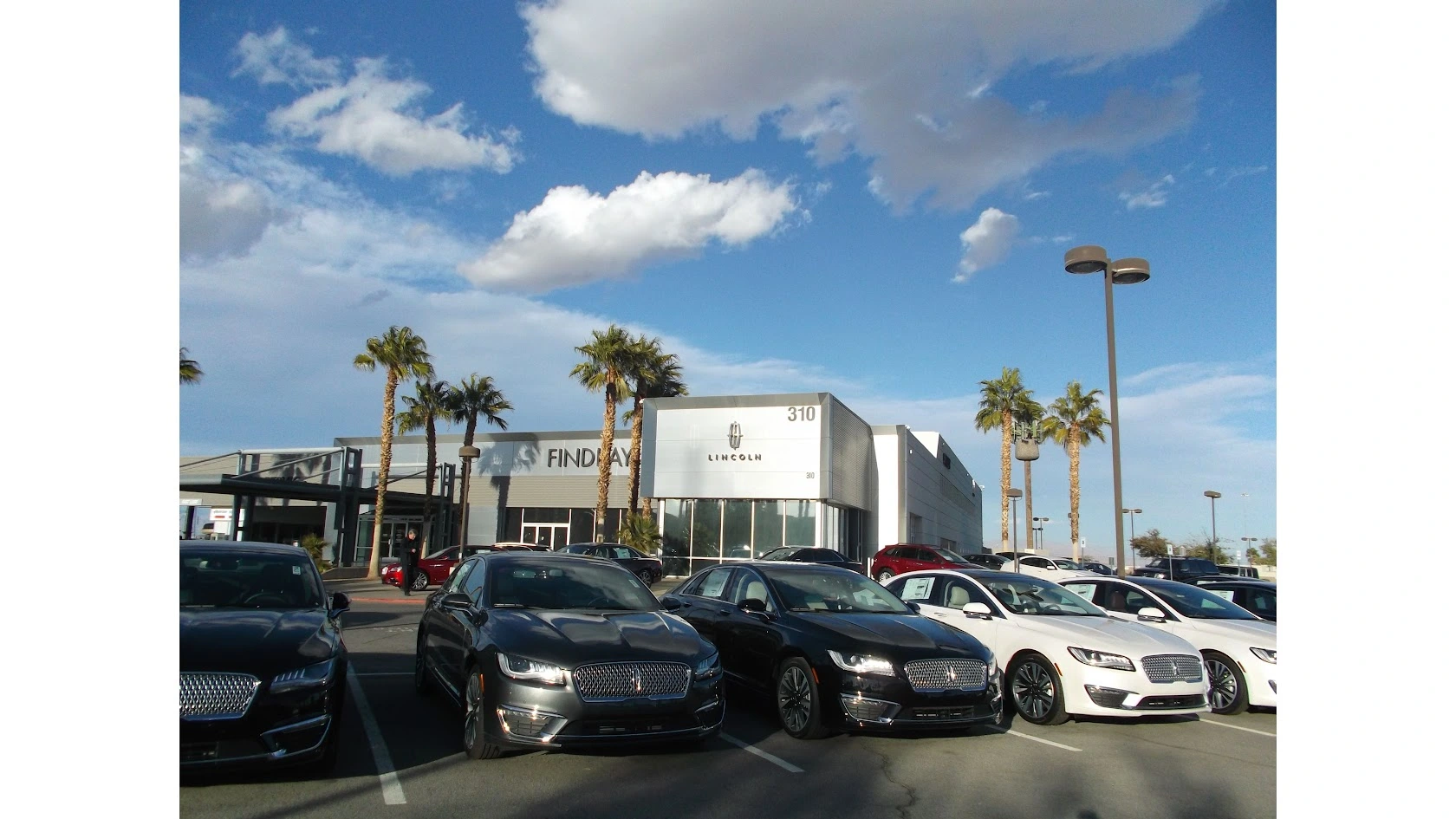 Couple driving a Lincoln vehicle near Las Vegas Nevada