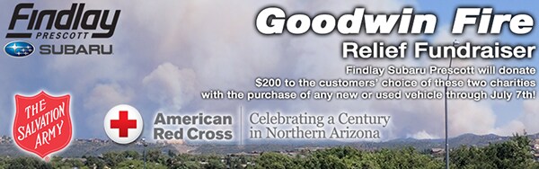 17-0627-header-FSP-GoodwinFire.png