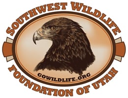SWF logo small.jpg
