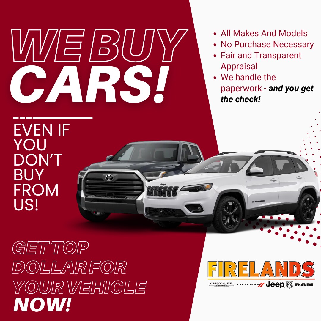 We%20Buy%20Cars%20Graphic%20(2).png