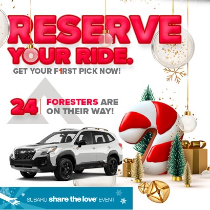 410X410sfkforester.jpg