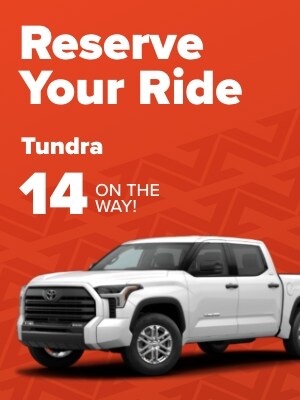 Landing_300x400_Tundra_June.jpg