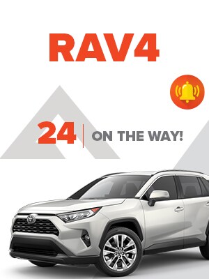 DDC--LP--300x400RAV4.jpg
