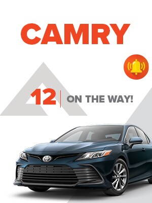 Camry-DDC--LP--300x400.jpg