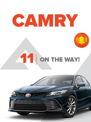 DDC--LP--300x400Camry.jpg
