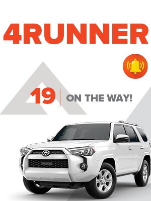 DDC--LP--300x4004Runner.jpg