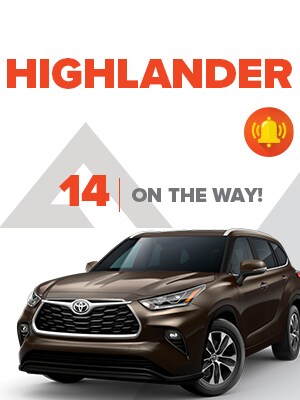 DDC--LP--300x400Highlander.jpg