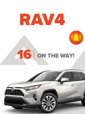 RAV4-DDC--LP--300x400.jpg