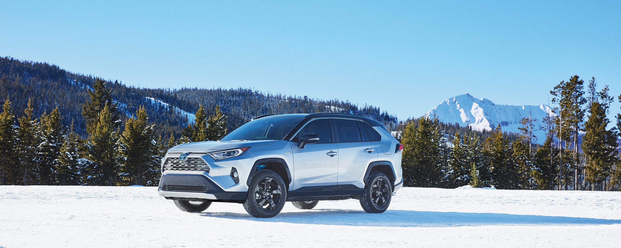2021 Toyota RAV4 (3).jpeg