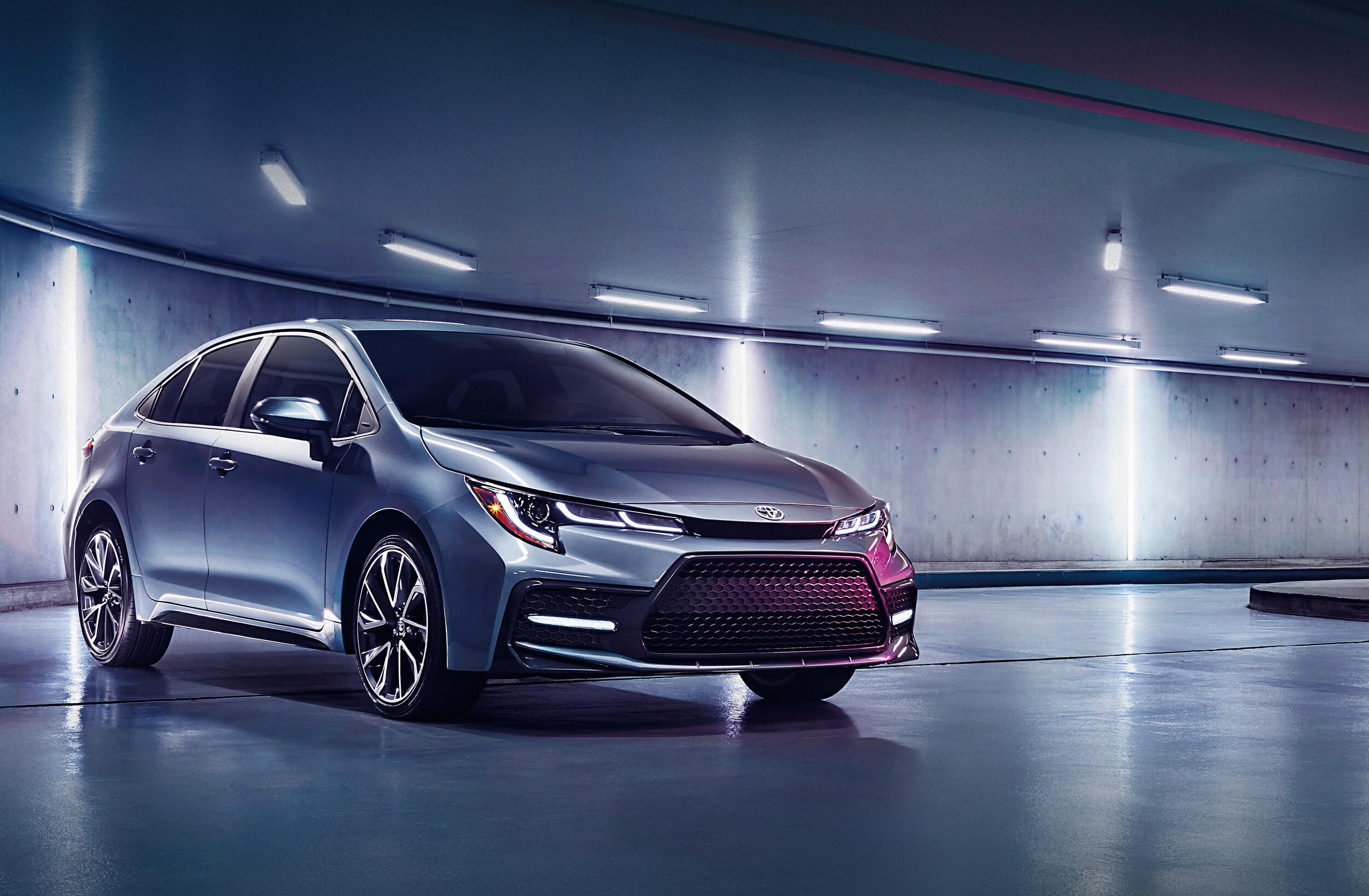 2021 Toyota Corolla (4).jpeg