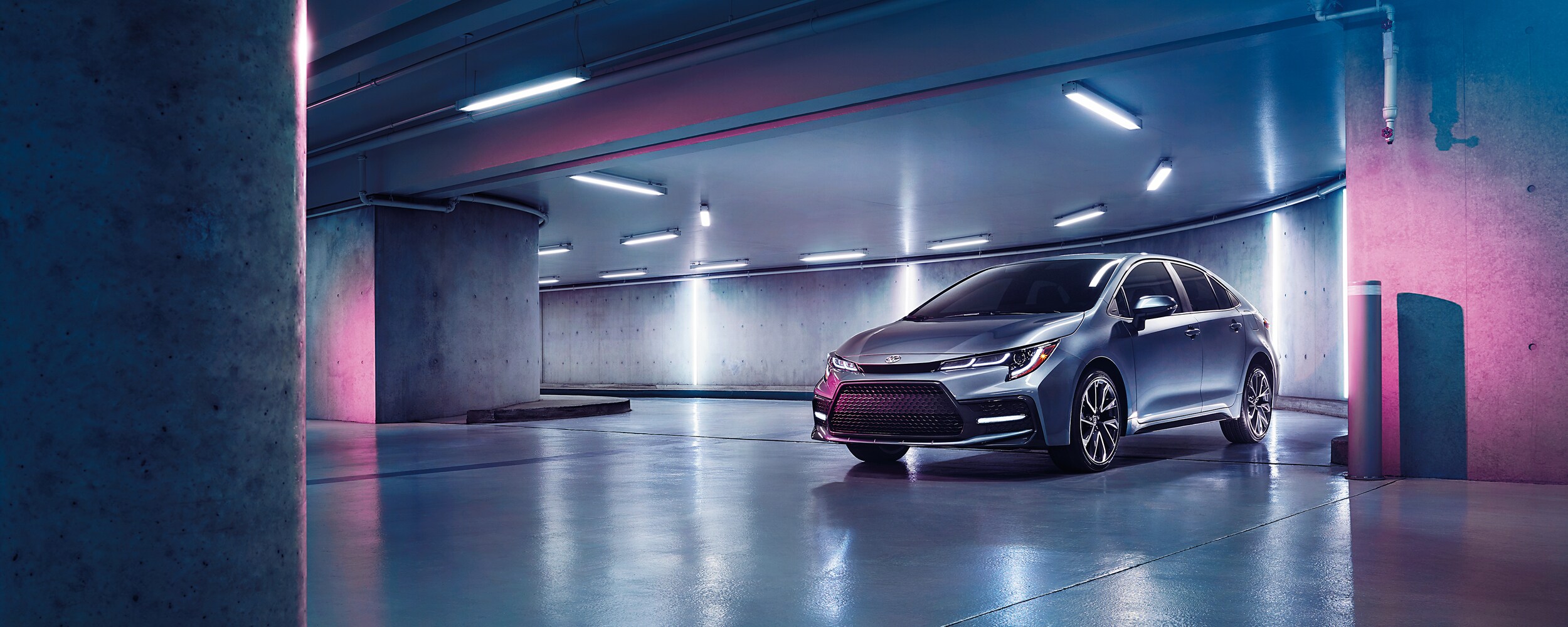 2021 Toyota Corolla (2).jpeg