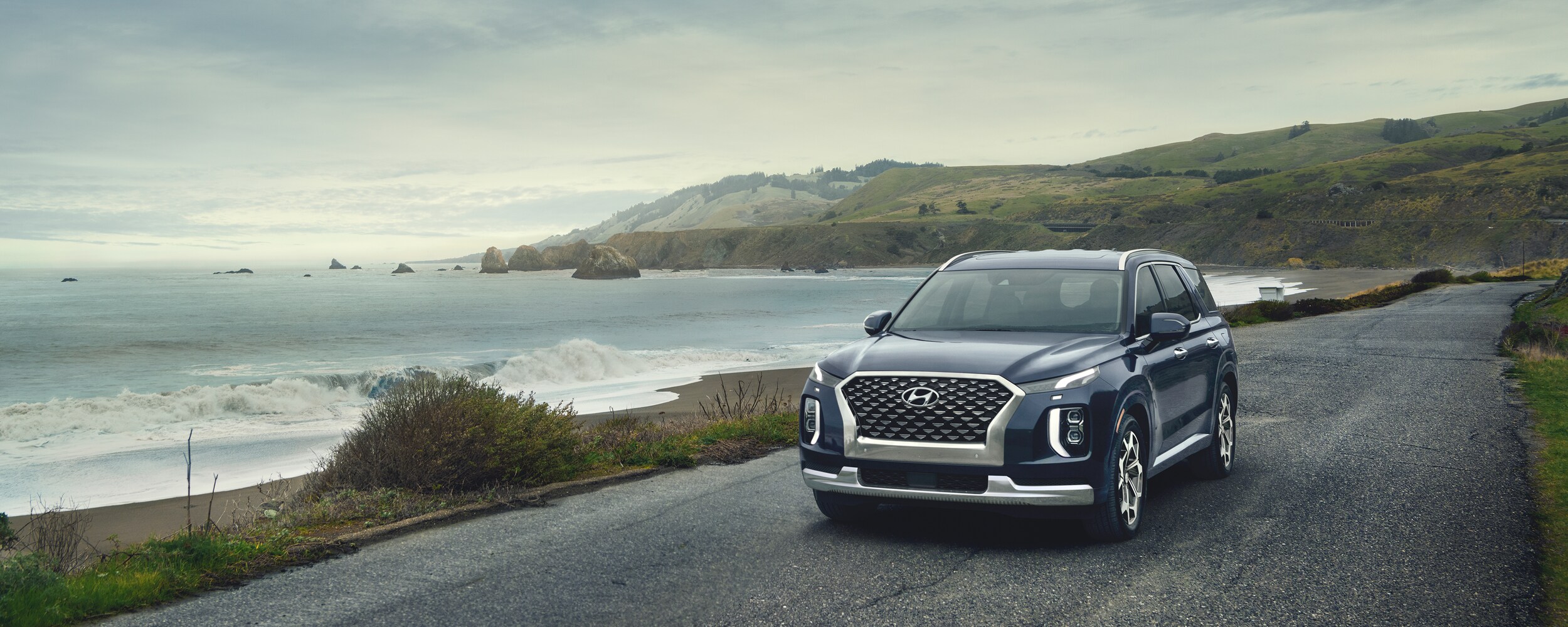 2021 Hyundai Palisade (1).jpeg