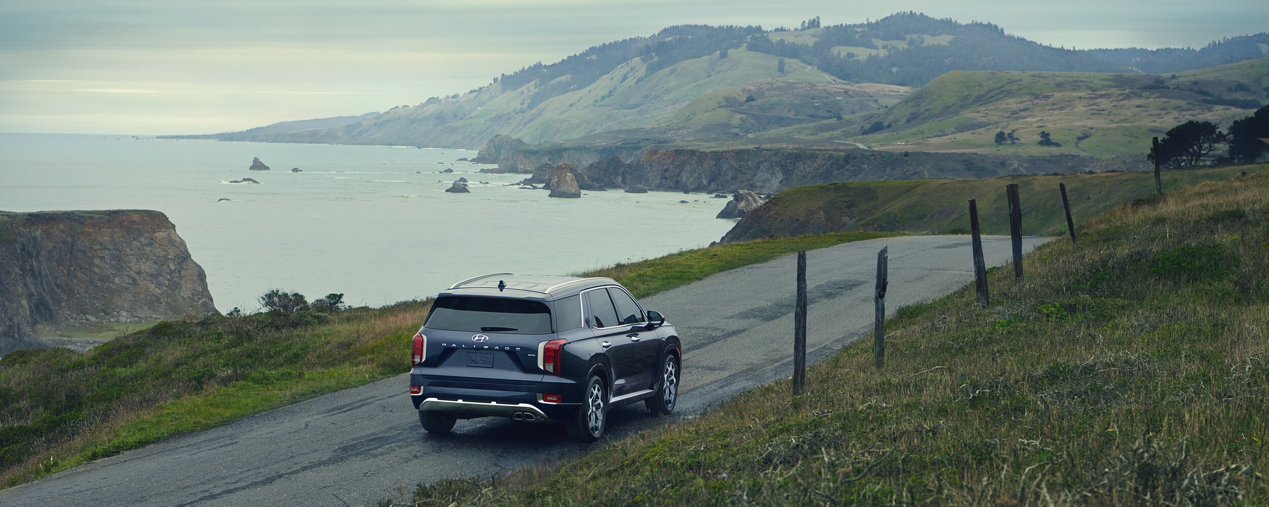 2021 Hyundai Palisade (2).jpeg