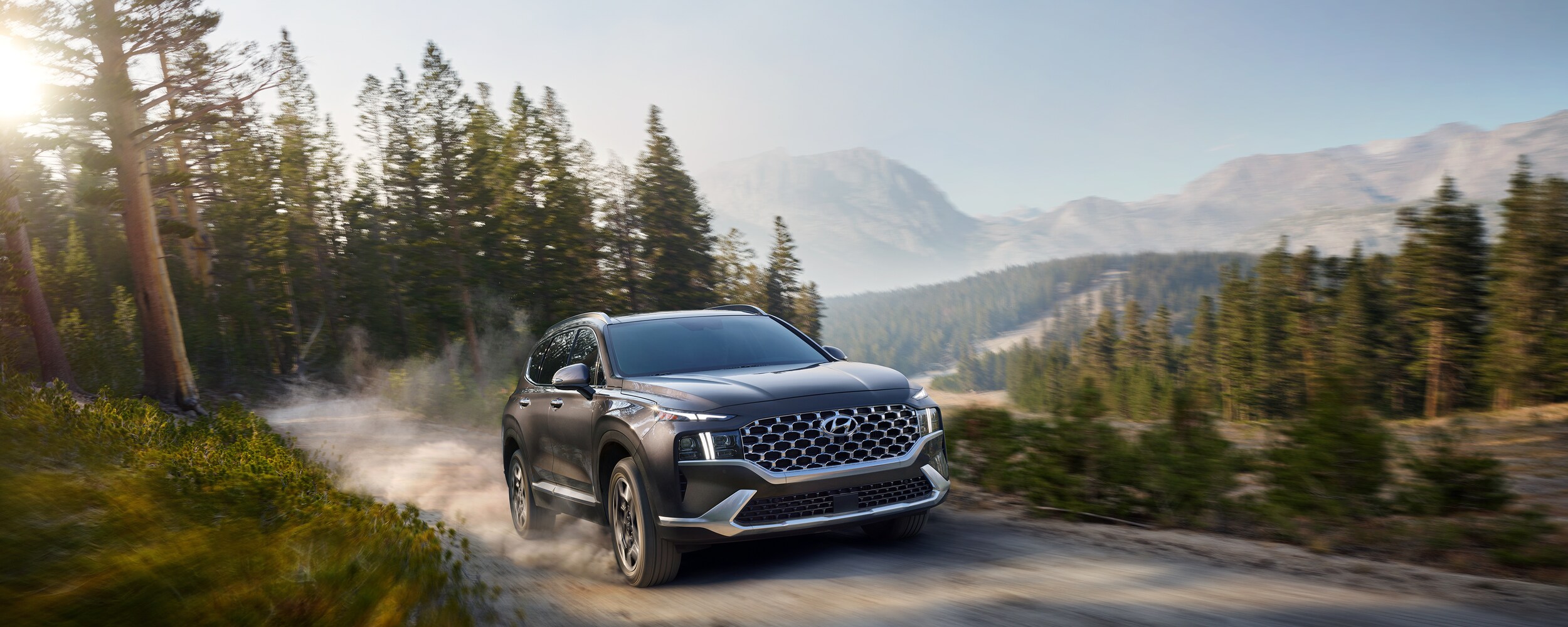 2021 Hyundai Santa Fe (2).jpeg