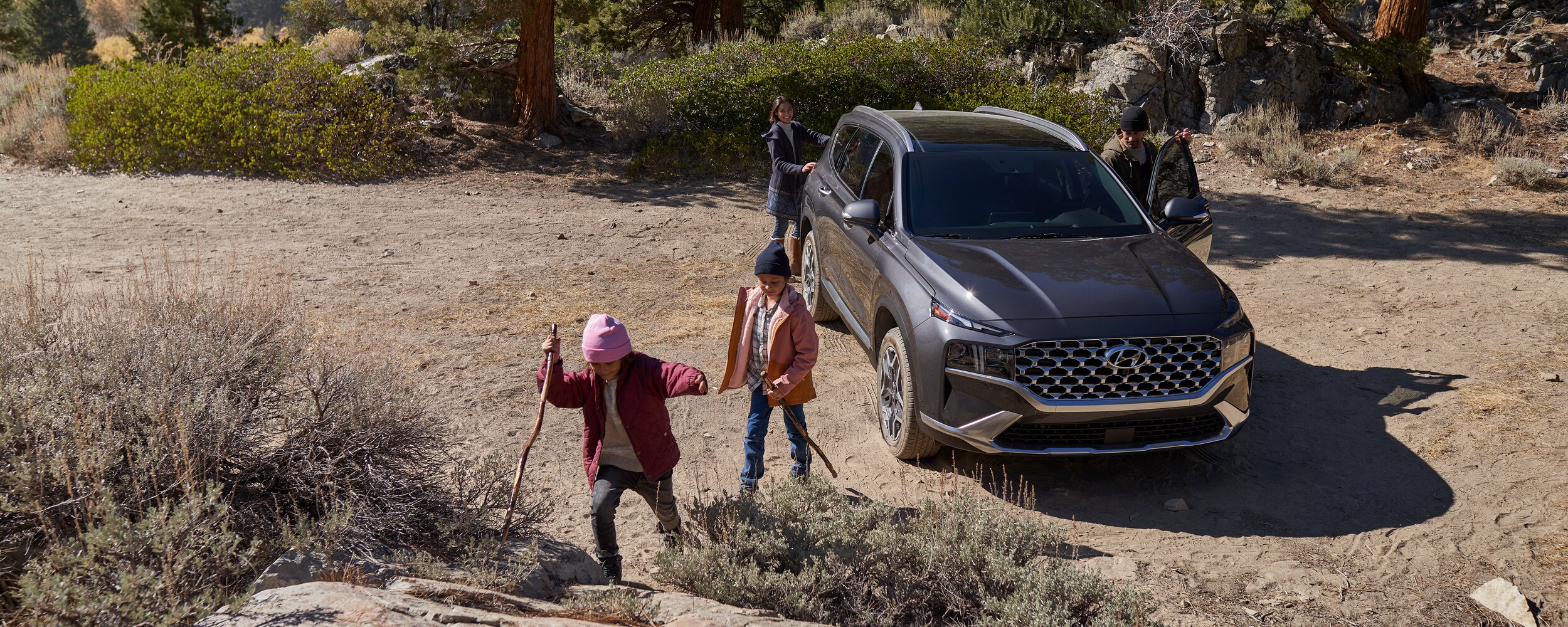 2021 Hyundai Santa Fe (3).jpeg