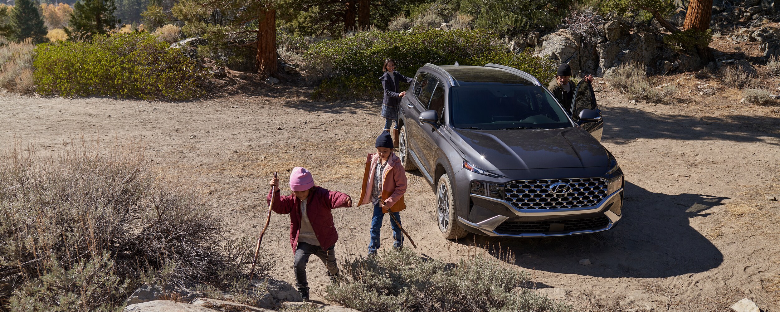 2021 Hyundai Santa Fe HEV (3).jpeg