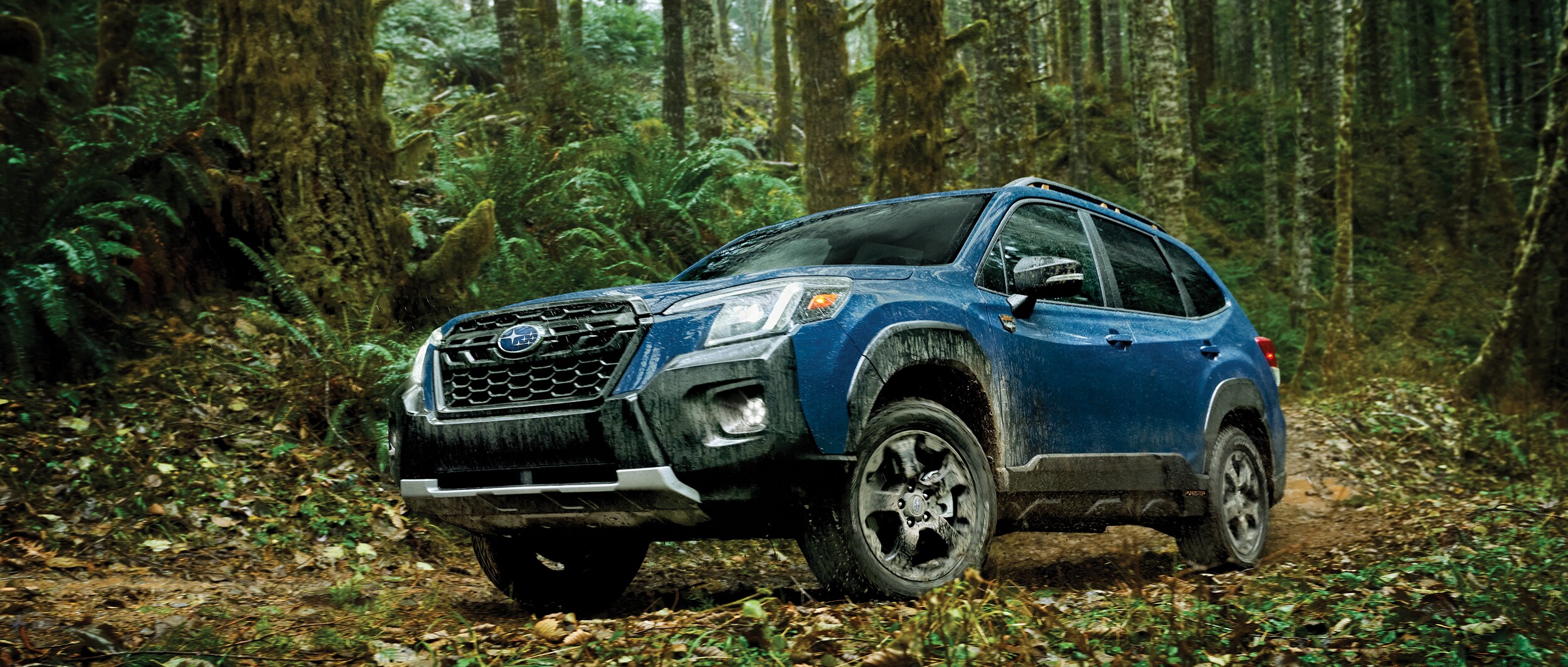 2022 Subaru Forester Wilderness (1).jpeg