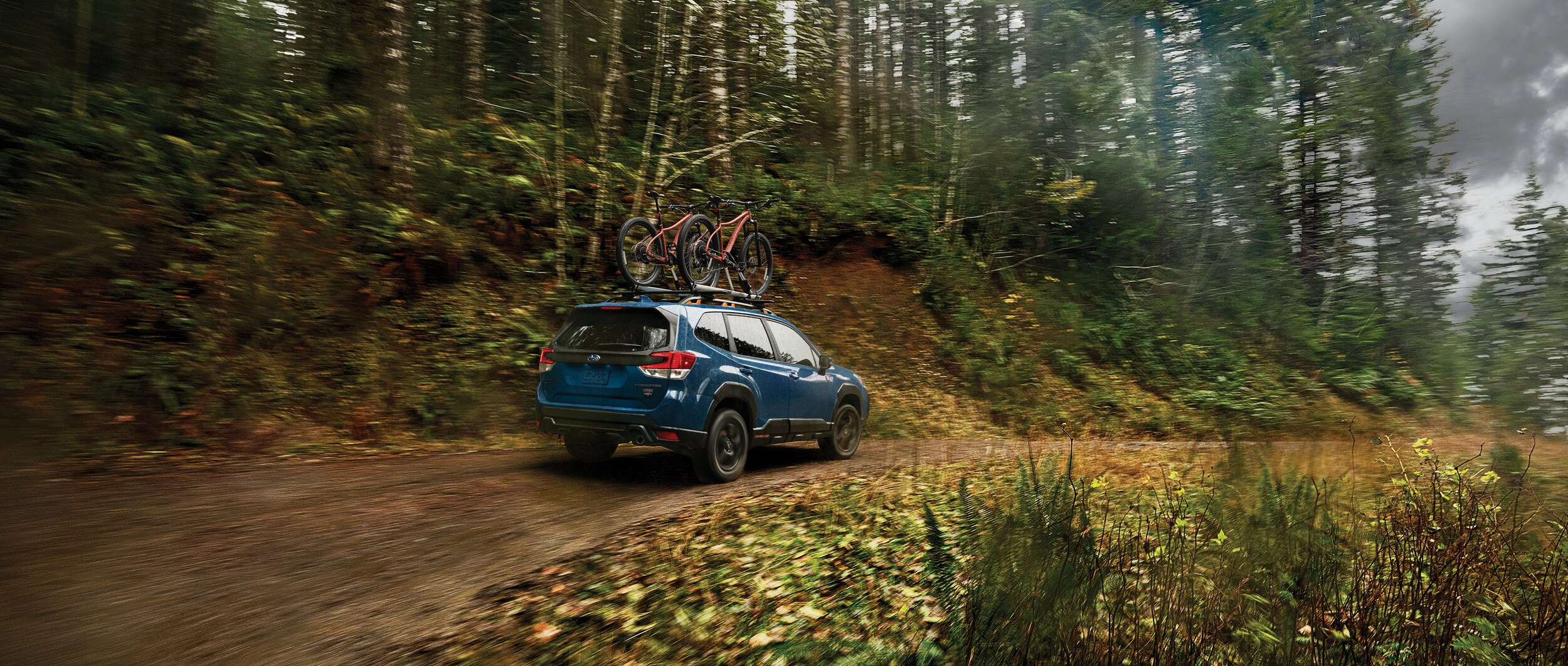 2022 Subaru Forester Wilderness (2).jpeg