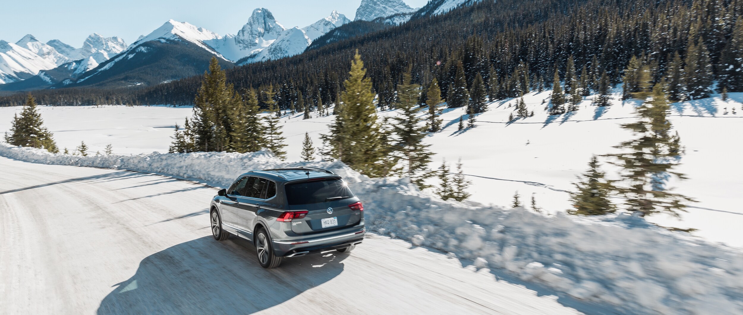 2020 Volkswagen Tiguan (1).jpeg