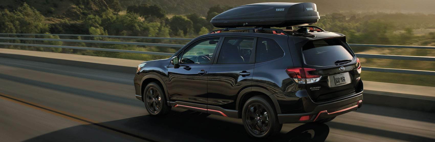 Budget for a New Car