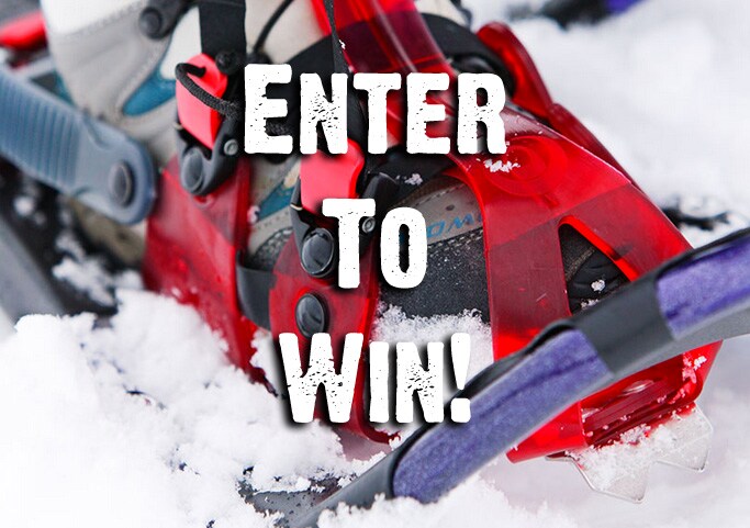 entertowinsnowshoepic.jpg