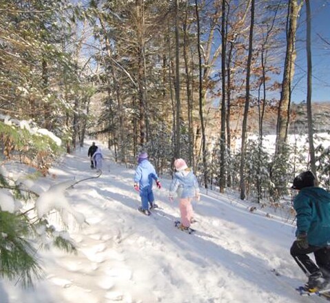 Screen Shot 2015-12-23 at 11.09.29 AM.png