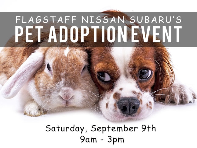 1040-0817-FLAG425 Pet Adoption Event Header.jpg