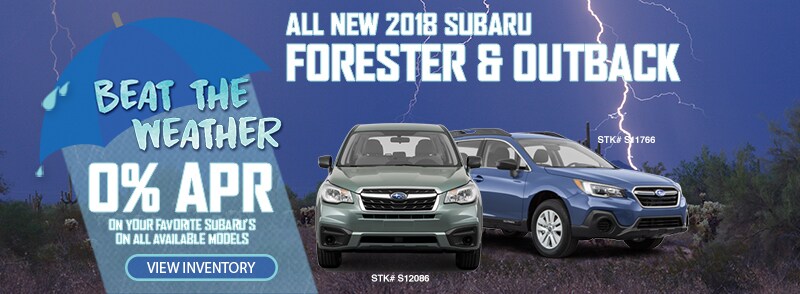 Forester and Outback