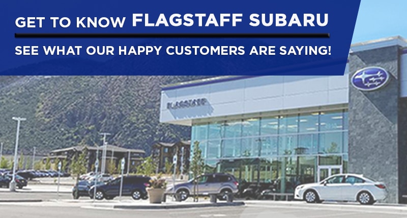 Customer Reviews
