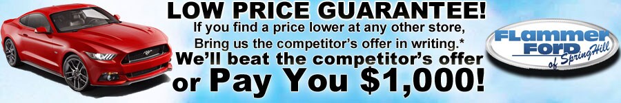 Price_Guarantee_Banner_New_.jpg