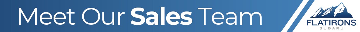 Meet The Team (Sales).png